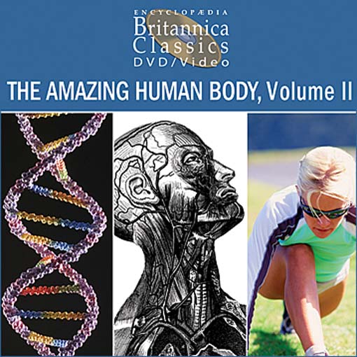 Click image to view full cover